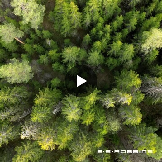 #esrobbins #officeproducts #chairmats #usdacertified #biobased #earthday | ES Robbins Office Products