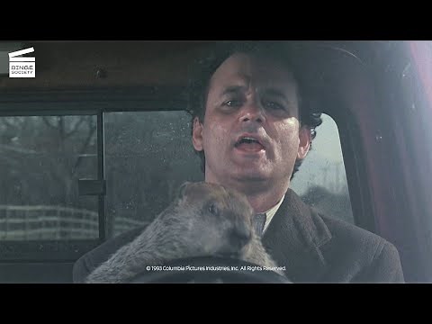Groundhog Day: The groundhog drives (HD CLIP)