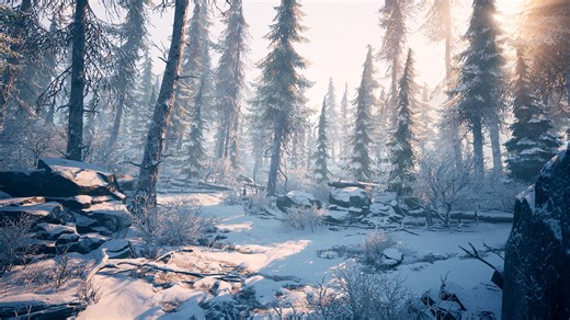 Winter Environment - Unreal & Unity, Paul Turc