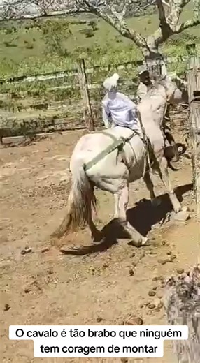 #vaqueiro #vaqueiros #vaqueirama #rocaafazenda #rocas #fazenda #rural #roca