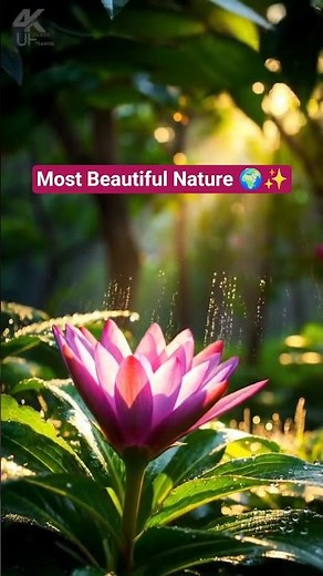Most Beautiful Nature Video 🌿✨ | Sunrise, Rain, Mountains, Sunset & Flowers |1 Minute Relaxing Video