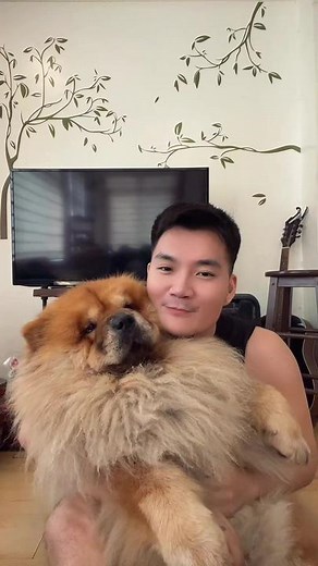 Chow Chow Dog Attack Compilation | Scary Puppy Moments