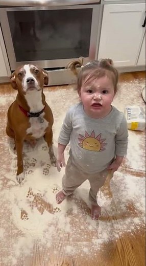 Toddler vs Dog: Who Really Caused The Flour Chaos?! 😂🐶