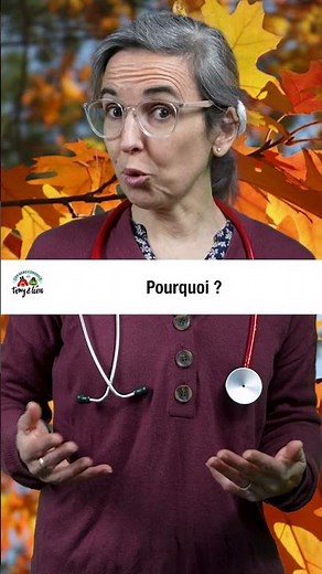 La pré-hibernation de ma tortue ! 🐢