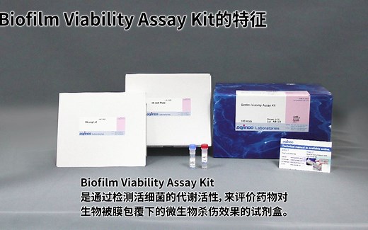 B603 Biofilm Viability Assay Kit 生物被膜药物效果检测试剂盒 同仁化学研究所