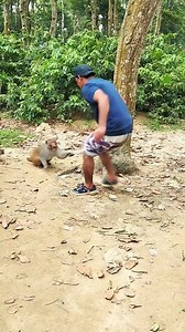 Monkey vs man funny video #reel | Jewel Rana 01