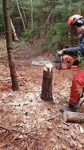 16K views · 35 reactions | Amazing technology toolsac .mp4 | Faculty of Exact Sciences and Computer Science - Mostaganem | Facebook