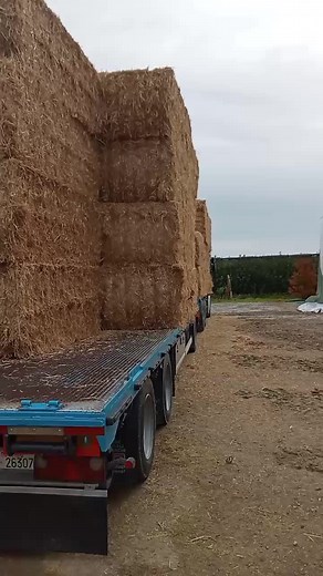 Efficient Hay Bale Handling with Forklift Machine