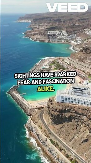 Discovering the World's Strangest Cryptids!