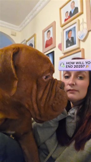 Fun Dog Filter Effects on Social Media