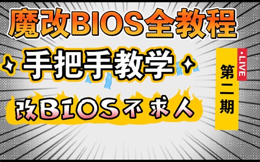 我奶奶看了都会改BIOS了/魔改主板Bios全教程/改Bios不求人/上QL2X/3X，QQM5/M6，QTJ1/J2，QQLS/LT
