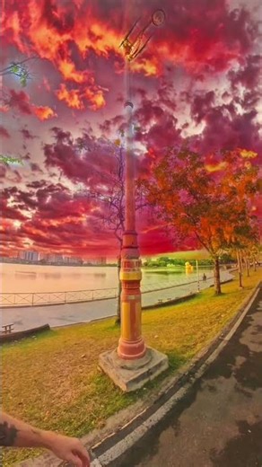 A Wild Look at Nong Prajak Park in Udon Thani