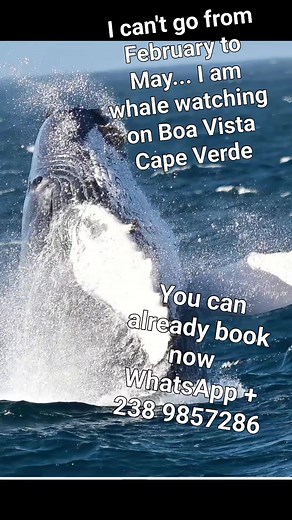 Boa Vista Tours on Reels