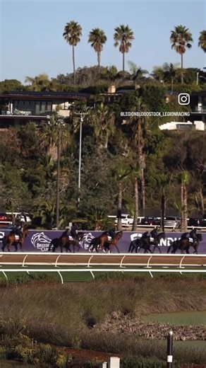 REGALED is just one of many 🇺🇸 horses running against the best in the 🌍 this weekend at Del Mar Racetrack in this years Breeders' Cup World Championships! Good luck to ALL the connections that have made it this far, but an extra 🍀 to all the American horses, as bragging rights for the next year are at stake! 🥊 🎥 @owneycreative | Legion Bloodstock