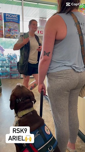 59 reactions · 31 comments | From agility training to service dog training, RSK9 Ariel is always ready for the task at hand. #dogreels2023 #dogtraining #dogtrainer #motivation #ridgesidek9 #motivationalreels #facebookreels #watchthis #ilovedogs #dogtrainingtips #keepgoing #dog #workingdog #servicedogs #meetus #thisisus | Ridgeside K9 | Facebook