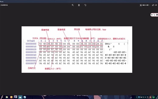 28.BMP格式文件头分析