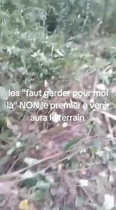 0709667558 WhatsApp uniquement texto ou vocal | Liesse Diomande Namonty