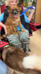 Pet OverPopulation Prevention on Reels