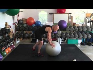 The Reverse Hyperextension Exercise