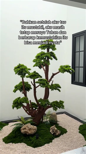 Rumah Minimalis Aesthetic: Harapan Kemustahilan