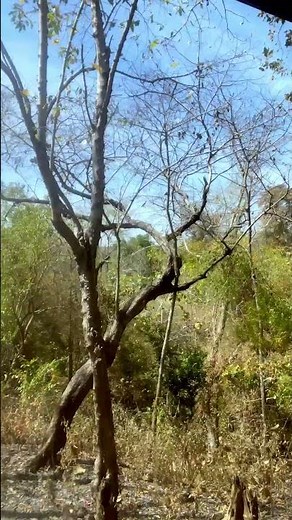 🇱🇦 Retire in Laos: Can You Live Here?