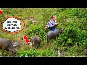 An Elderly Woman Living Alone in Rural Vietnam