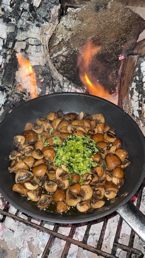 Hoy vamos a preparar champiñones al ajillo en la chimenea y es tan fácil como cortar los champiñones en cuatro trozos y en un mortero machacar seis o siete dientes de ajo junto con un poquito de sal perejil fresco y cuando esté bien machacado incorporar aceite de oliva virgen extra, removemos bien ponemos un poquito de zumo de limón y reservamos. Nos vamos a la sartén con un poco de aceite de oliva virgen extra incorporamos los champiñones y un pelín de sal, no mucha recordar que ya llevo el maj