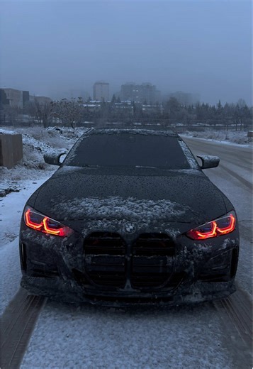 BMW G82: A Deep Dive into Black Models