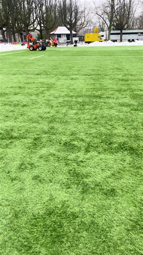 Rugbywedstrijd Ierland vs Zuid-Afrika in Den Bosch