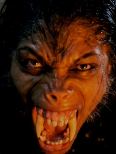 A mysterious meteor unleashes a new breed of female werewolves. 🌕🐺 Search Werecurse on YouTube. #scary #horror #werewolf #femalewerewolf