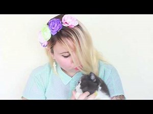 Test et avis de produits Lush