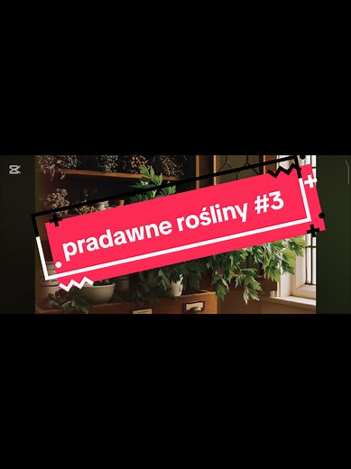 pradawne rośliny. Lubczyk, każdy zna ale nikt nie uprawia źródło https://youtu.be/GdjkV0920jQ?si=TExoq6P42lqAUI9f #farma #rosliny #działka #ROD #permakultura