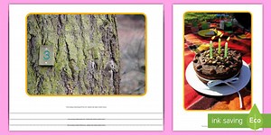 All about the Number '3' Photo Pack