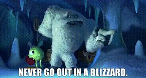 Never go out in a blizzard.