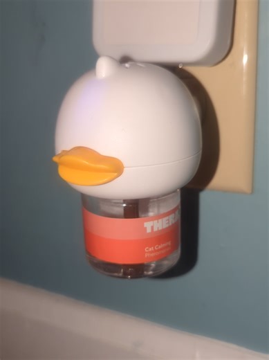 Transform Your Cat's Behavior with a Calming Diffuser