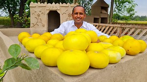 398K views · 6.6K reactions | Melon Milksahke Recipe | Kharbooza Shake | خربوزہ مِلک شیک | Mubashir Saddique | Village Food Secrets Subscribe for more videos Instagram : https://www.instagram.com/villagefoodsecrets https://www.youtube.com/channel/UCQexaAjPn3-1MCE4DmBK3Tg | Village Food Secrets | Facebook