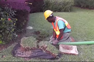 25 Good Catchy Septic Truck Company Slogans