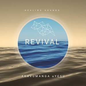 Endaweni ebanzi - Mkhululi Joyisi: Song Lyrics, Music Videos & Concerts