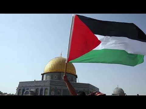 Dammi Falastini, Mohammed Assaf دمي فلسطيني Arabic lyrics