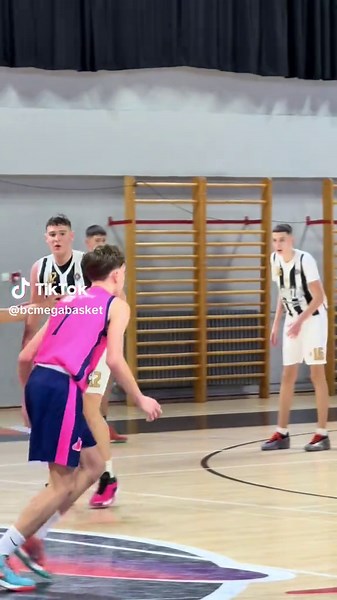 Mega Basketball Champions: Epic Highlights