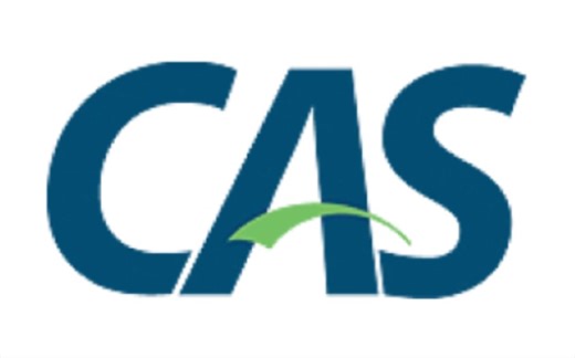 SpringBoot CAS整合服务端和客户端实现SSO单点登录与登出快速入门上手教学视频