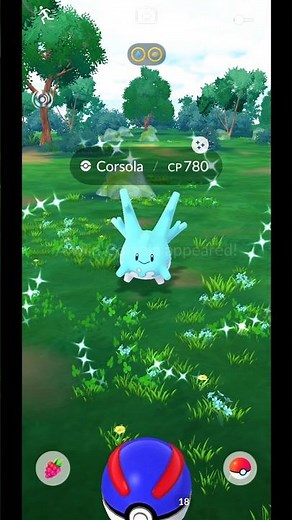 Caught a Wild Shiny Corsola in Pokemon GO Gameplay #Shorts