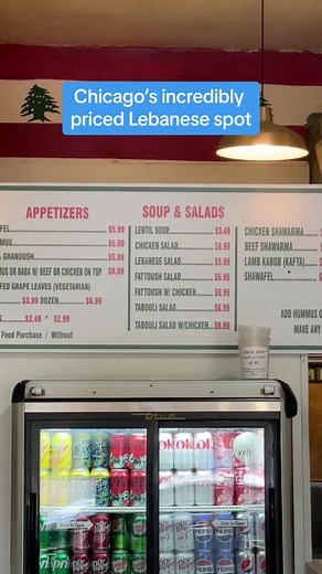 Taste of Lebanon: Best Inexpensive Lebanese Restaurant in Chicago