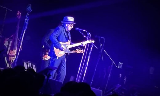 A Flailing Elvis Costello Joins Anti-Trump Resistance