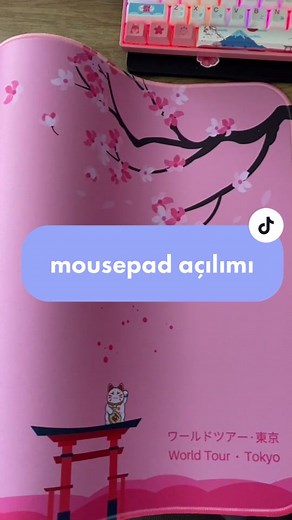 Kaliteli Akko Klavye ve Mr DIY Mouse Pad Açılımı - Twitch Yayını