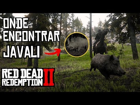 Red Dead Redemption 2: Onde Encontrar Javalis - Top 3 Locais de Caça!
