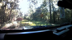 Some times the road ends and we have to run miles to back track where a road ends. | Rambling The Alabama Black Belt