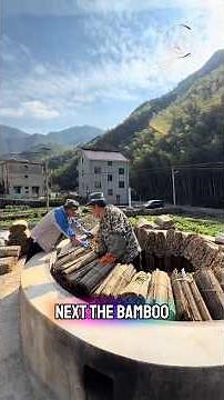 How Bamboo Is Turned Into Paper | Sustainable Science & Eco Innovation Explained