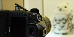 Watch: Here's a Simple DIY Light Box You Can Make out of Household Items