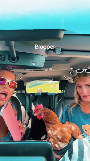 Funny Chicken Fails on the Farm